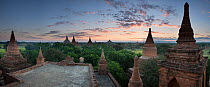 Temples of Bagan at dawn, Myanmar, November 2012.