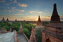 Woman taking a picture of the Temples of Bagan at sunrise, Myanmar, November 2012.