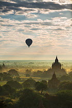Hot air balloon over the Temples of Bagan at dawn, Myanmar, November 2012.