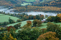Autumn mist in Dee Valley (Dyffryn Dyfrdwy) near Llangollen, Denbighshire, Wales, UK, November 2013.