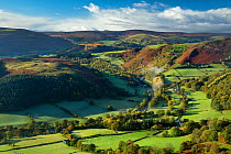 Rural landscape with fields of sheep and small village, Dee Valley (Dyffryn Dyfrdwy) near Llangollen, Denbighshire, Wales, UK, November 2013.