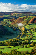 Rural landscape with fields of sheep and small village, Dee Valley (Dyffryn Dyfrdwy) near Llangollen, Denbighshire, Wales, UK, November 2013.