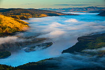 Mist filled valley of the Yukon River at dawn, near Dawson City, Dome Hill, Yukon Territories, Canada, September 2013.