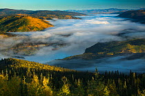 Mist filled valley of the Yukon River at dawn, near Dawson City, Dome Hill, Yukon Territories, Canada, September 2013.