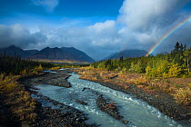Quill Creek with the Auriol Range, St Elias Mountains, Kluane National Park, Yukon Territories, Canada, September 2013.
