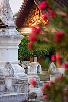 Wat Khili Temple, with flowers in the foreground, Luang Prabang, Laos, March 2009.
