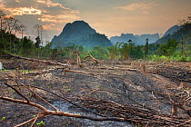 Slash and burn deforestation near Vang Vieng, Laos, March 2009.