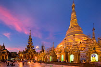 Shwedagon Pagoda illuminated at dusk, Yangon, Myanmar. November 2012.