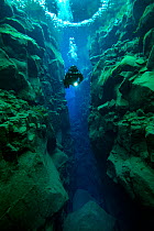 Diver exploring the Silfra Canyon - deep fault filled with fresh water in the rift valley between the Eurasian and American tectonic plates, at Thingvellir National Park, Iceland. June 2014.