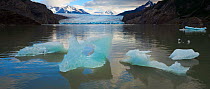 Grey Glacier tumbling into Lago Grey, calving blue-green icebergs into the lake, Torres del Paine National Park, Chile. April 2014.