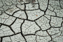 Cracks in drying mud, Provence, France, May.