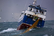 Fishing vessel 'Ocean Harvest' retrieving net while fishing on the North Sea, February 2014. All non-editorial uses must be cleared individually.