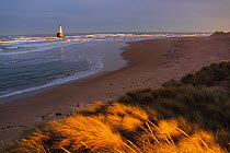 View of Rattray Head Lighthouse across sand dunes, north-east Scotland, January 2014. All non-editorial uses must be cleared individually.
