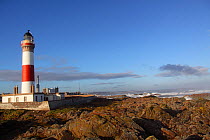 Sunny day at Buchan Ness Lighthouse. north-east Scotland, January 2014. All non-editorial uses must be cleared individually.
