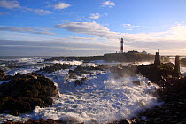 Heavy seas crashing against the coast at Buchan Ness Lighthouse, north-east Scotland, January 2014. All non-editorial uses must be cleared individually.