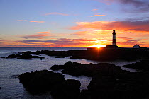 Buchan Ness Lighthouse at sunrise, Scotland, January 2014. All non-editorial uses must be cleared individually.