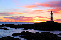 Buchan Ness Lighthouse at sunrise, Scotland, January 2014. All non-editorial uses must be cleared individually.