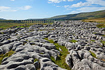 Ribblehead railway viaduct with limestone pavement, Yorkshire Dales, North Yorkshire, England, UK, September 2009