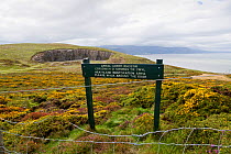 Fenced off Heathland restoration area with information sign,  The Bishop's Quarry, Great Orme, North Wales, UK, August.