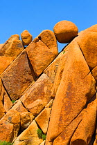 Rock formations, Joshua Tree National Park, California, USA, May.