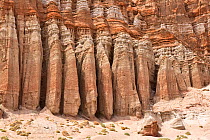 Eroded sandstone cliffs, Red Rock Canyon State Park, Sierra Nevada, California, USA, May.