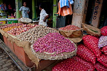 Vegetable market, Pettah, Colombo, Sri Lanka, December 2012.