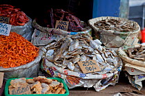 Dried fish for sale at market, Pettah, Colombo, Sri Lanka.