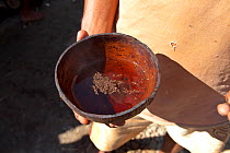 Gemstone miner holding bowl of tea, Ratnapura, Sri Lanka, December 2012.