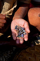 Rough gemstones in hand of miner, Ratnapura, Sri Lanka, December 2012.