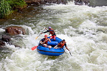 Tourists white water rafting on Kelani River, Sri Lanka, January 2013.