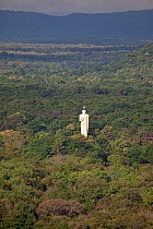 Buddha statue viewed from Sigiriya rock, Sri Lanka, December 2012.