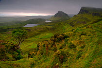 Quiraing mountains with cloud cover, Isle of Skye, Inner Hebrides, Scotland, UK. July 2013.