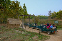 Tourists in vehicles entering Bandhavgarh National Park on safari, India, March 2014.