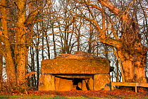 La Roche-aux-Fees (Fairies' rock) dolmen / tomb. Esse, Ille-et-Vilaine, Brittany, France, December 2013.