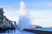 Spring tide waves lashing the seafront at Saint-Malo, Ille-et-Vilaine, Brittany, France. February 2014.