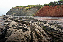 Normal fault with grey Jurassic carbonates to the left and red Triassic mudrocks to the right, Blue Anchor, Somerset, February 2013.