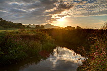 River Brue, at sunrise with Glastonbury Tor in background,  Somerset, UK, August.