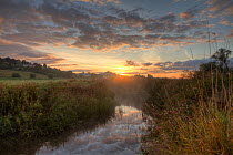 River Brue, at dawn with Glastonbury Tor in background,  Somerset, UK, August.
