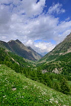 Landscape of Vallee de Sant Anna, Maritime Alps, Italy, July 2014.
