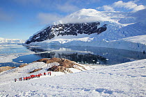 Tourists hiking up snowfield at Neko Harbor, Andvord Bay, Antarctica, February 2011.