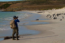 Russell Laman photographing Magellanic penguins (Spheniscus magellanicus) on beach, Carcass Island, Falkland Islands, Match 2011. Model released.