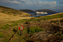 National Geographic Explorer walking along path on New Island, Falkland Islands, March 2011.