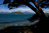 View across the Beagle Channel from Tierra del Fuego, South America, February 2011.