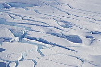 Pattern of crevasses in a glacier surface, Neko Harbor, Andvord Bay, Antarctica, February 2011.