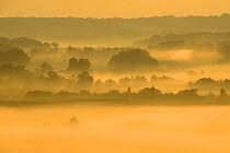 Morning mist over the countryside, Vosges, France, September 2014