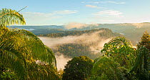 The rim of Maliau Basin on the horizon, towering above the dense rainforest it encloses. Maliau Basin, Sabah, Borneo, May 2011.
