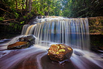Giluk Falls at the edge of the southern plateau, Maliau Basin, Borneo, May 2011.