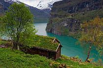 Mountain hut at Knivsflaa, Geirangerfjorden, UNESCO World Heritage Site. More og Romsdal, Norway, May.