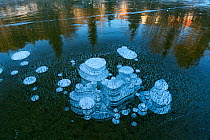 Ice bubbles in the Selbusjoen lake. Klaebu, Norway, January.