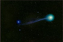 Comet Lovejoy (C/2014 Q2). The colours of the tail and comet head come from ionized carbon monoxide (CO+) and diatomic carbon (C2), which glow blue and green respectively in the near-vacuum of interpl...
